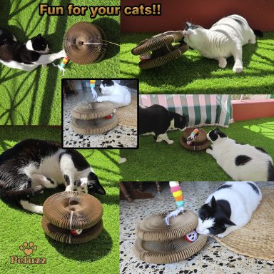 Peluzz cat scratcher collage showing cats playing and relaxing