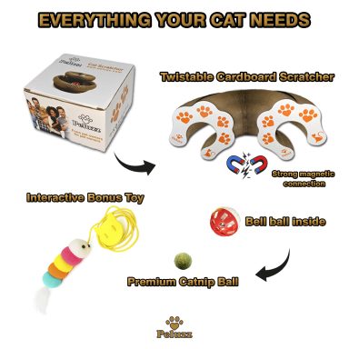 Peluzz cat scratcher accessories and included gift items