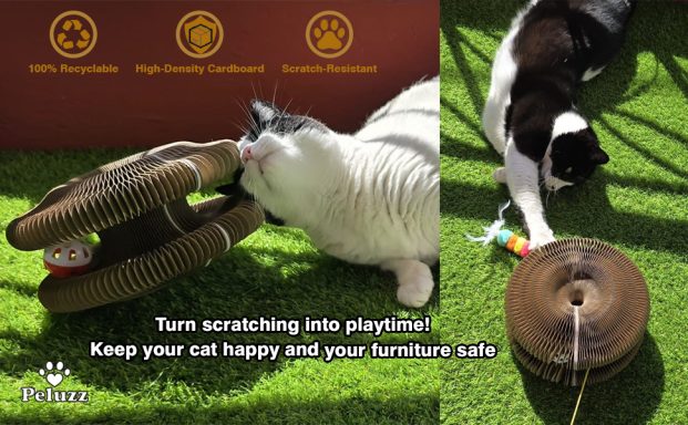 Cat playing with the Peluzz scratcher as an interactive toy