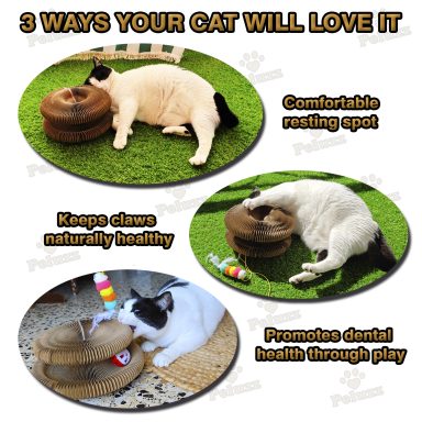 Three ways cats can enjoy the Peluzz cat scratcher