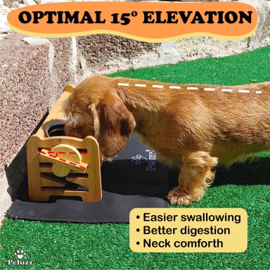 Small dog using the Peluzz raised pet feeder with 15 degree elevation